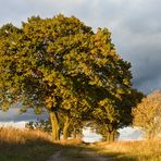 Wege übers Land 7