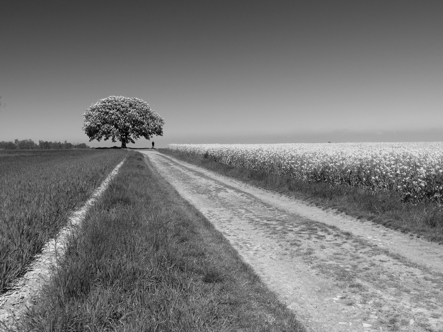 Wege übers Land