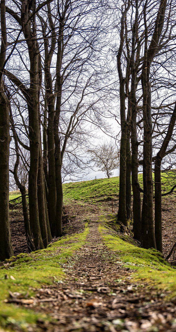 Wege übers Land