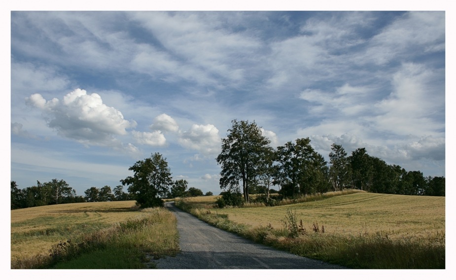  wege übers land I Foto & Bild landschaft, Äcker, felder & wiesen, natur Bilder auf