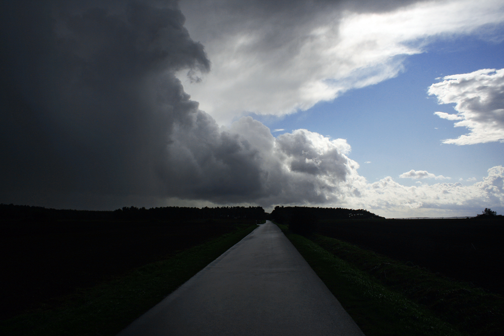 Wege übers Land I