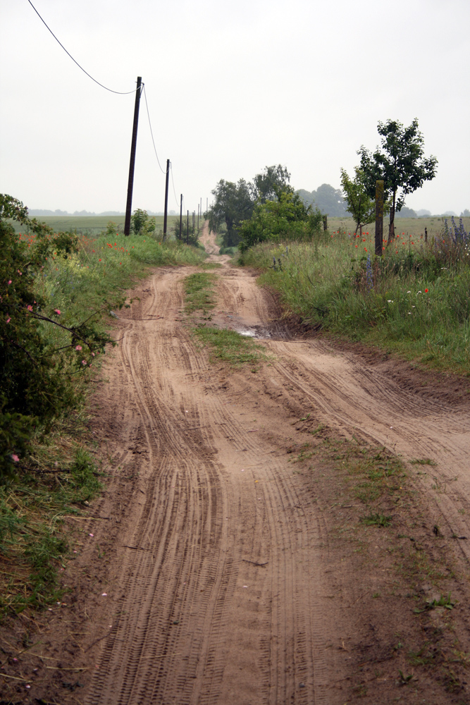 Wege übers Land II