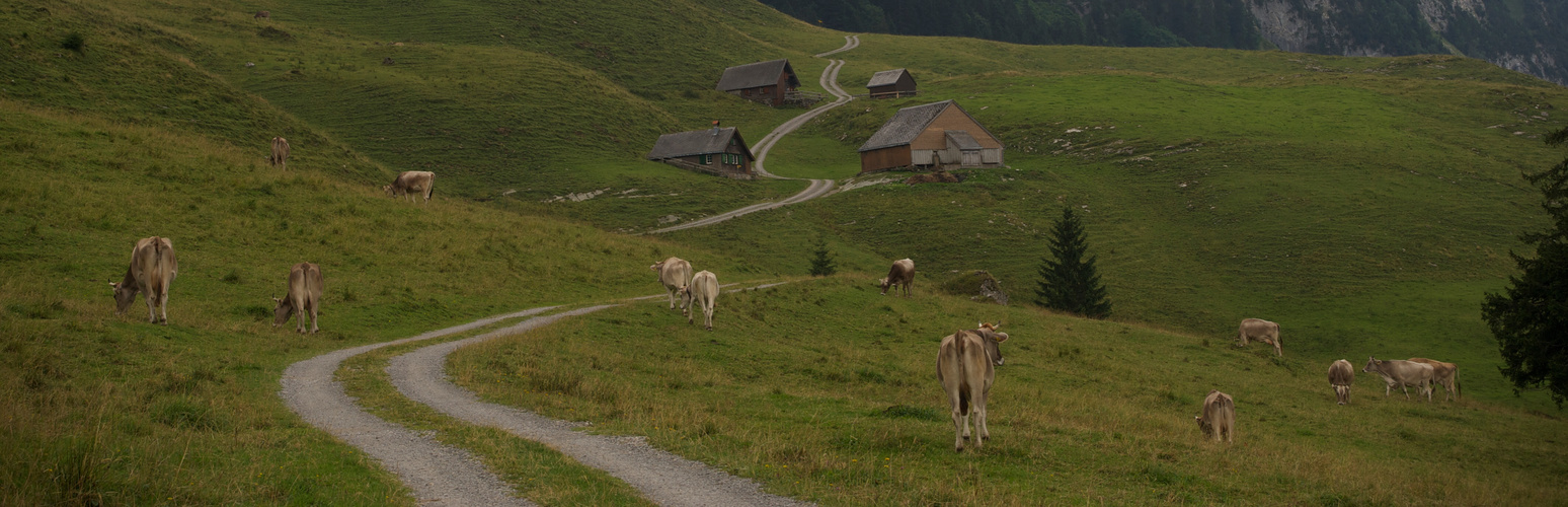 Wege zum Gipfel