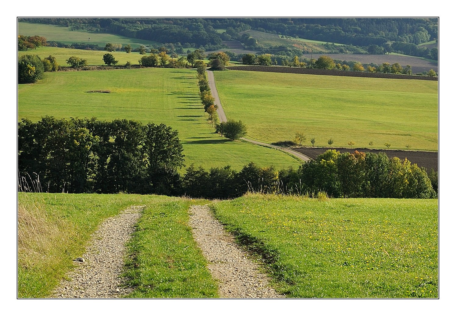 wege zum hetzleser berg