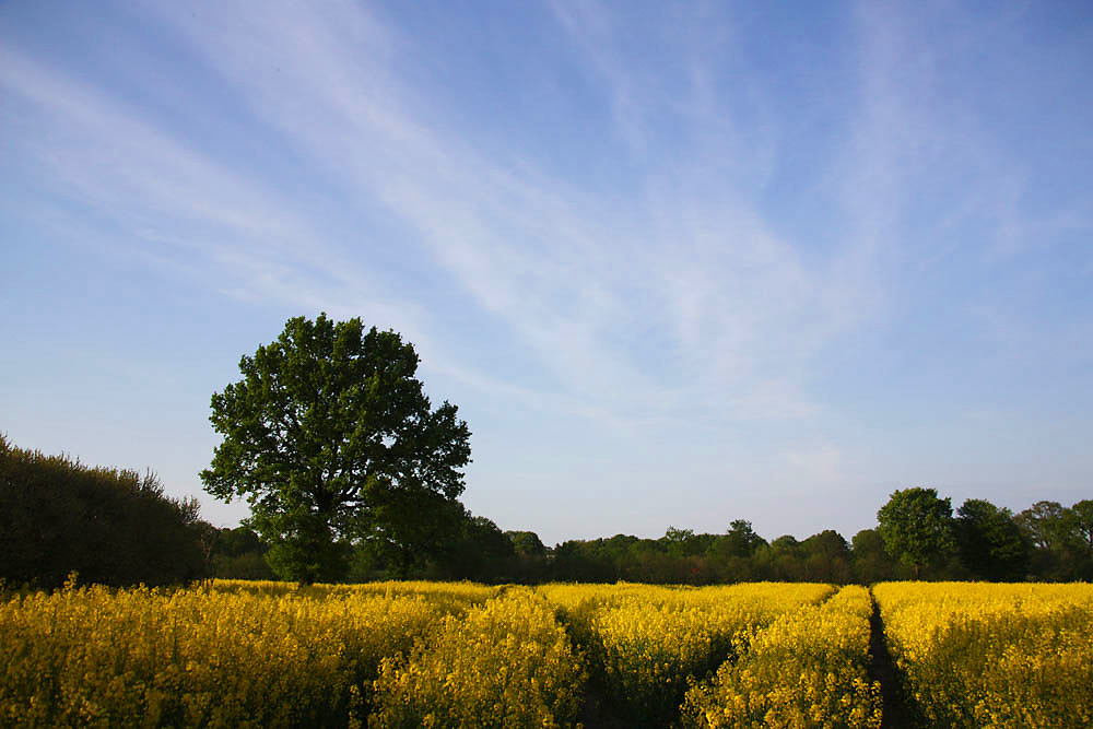 Wege zum Horizont