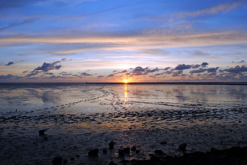 Wege zum Horizont von dmphotography 