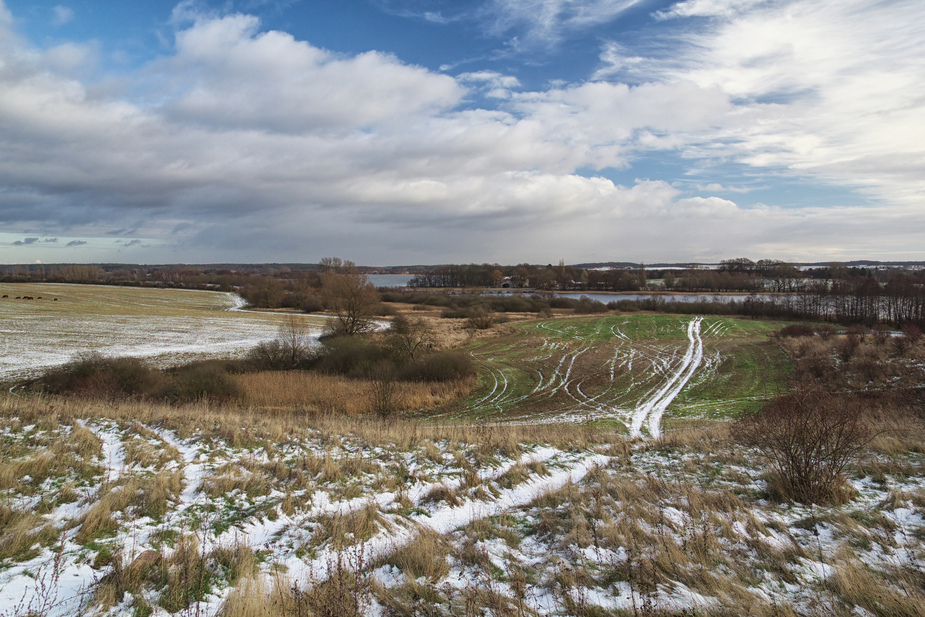 Wege zum See