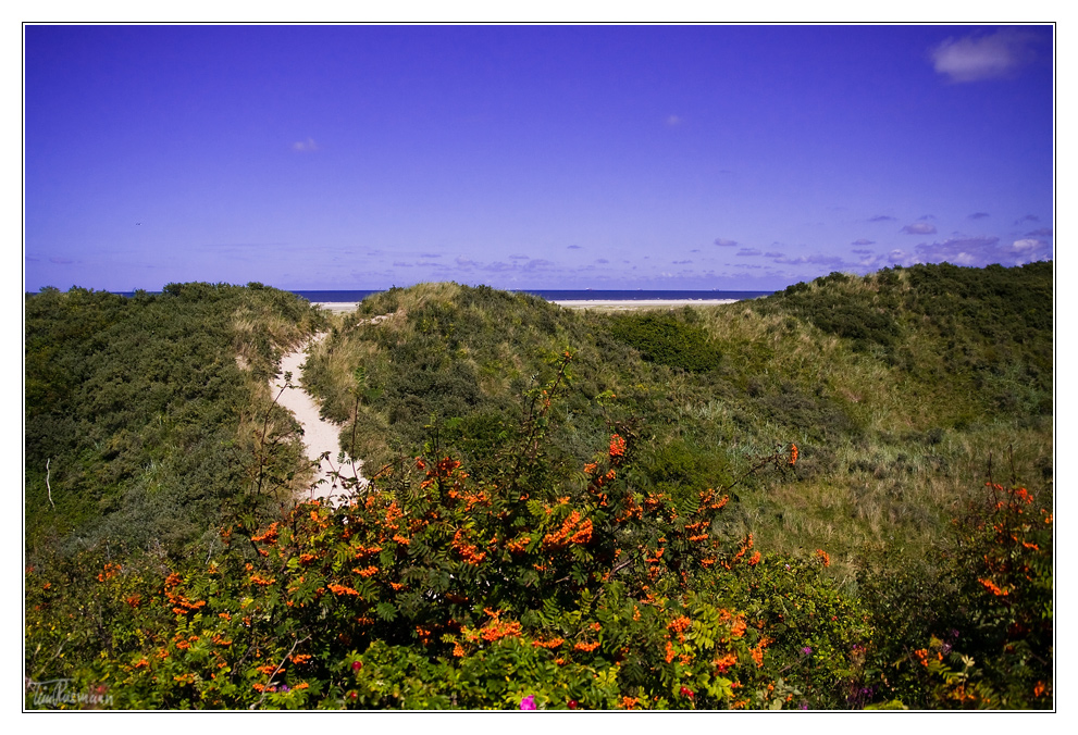 wege zum strand #1