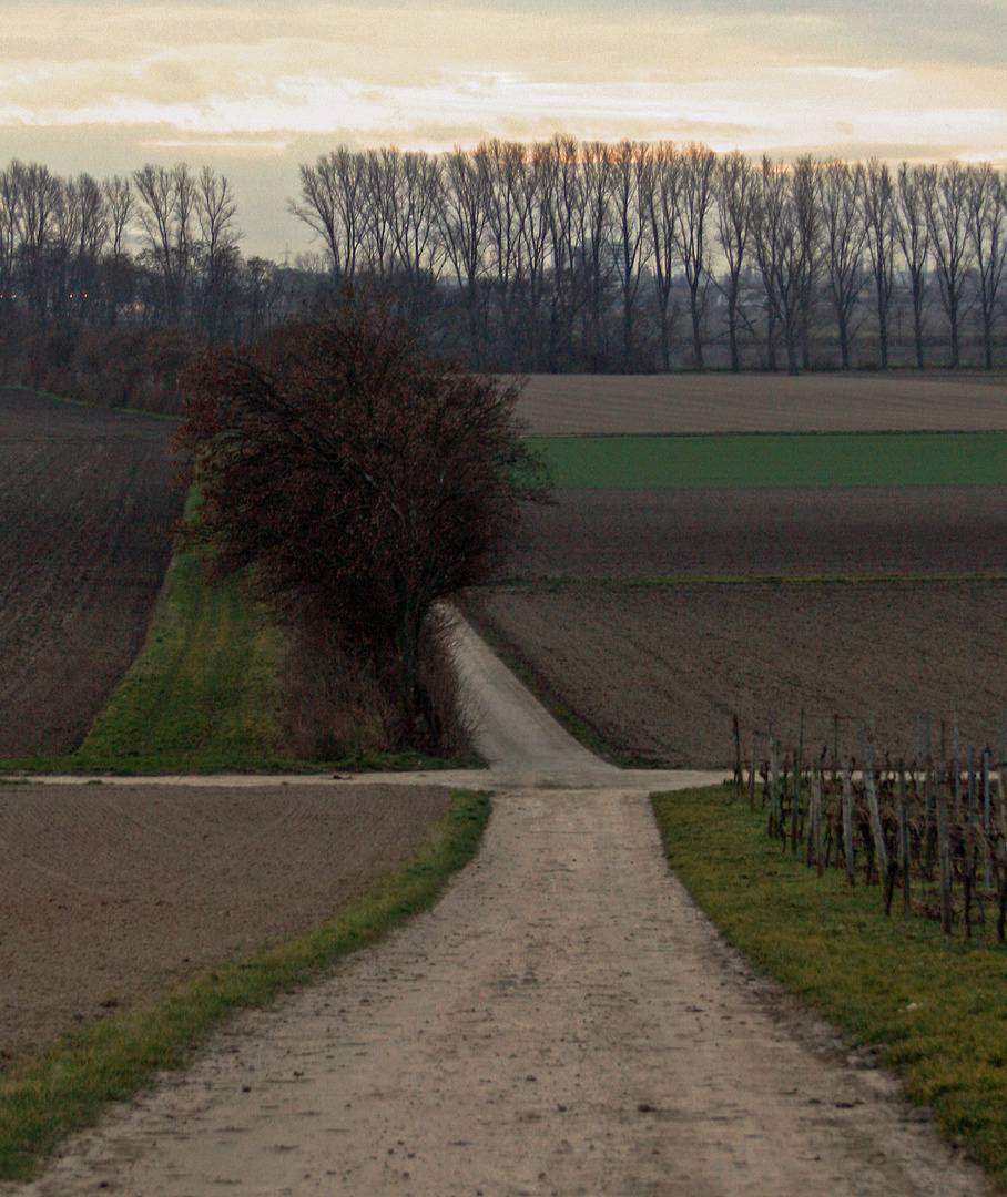 Wegekreuz