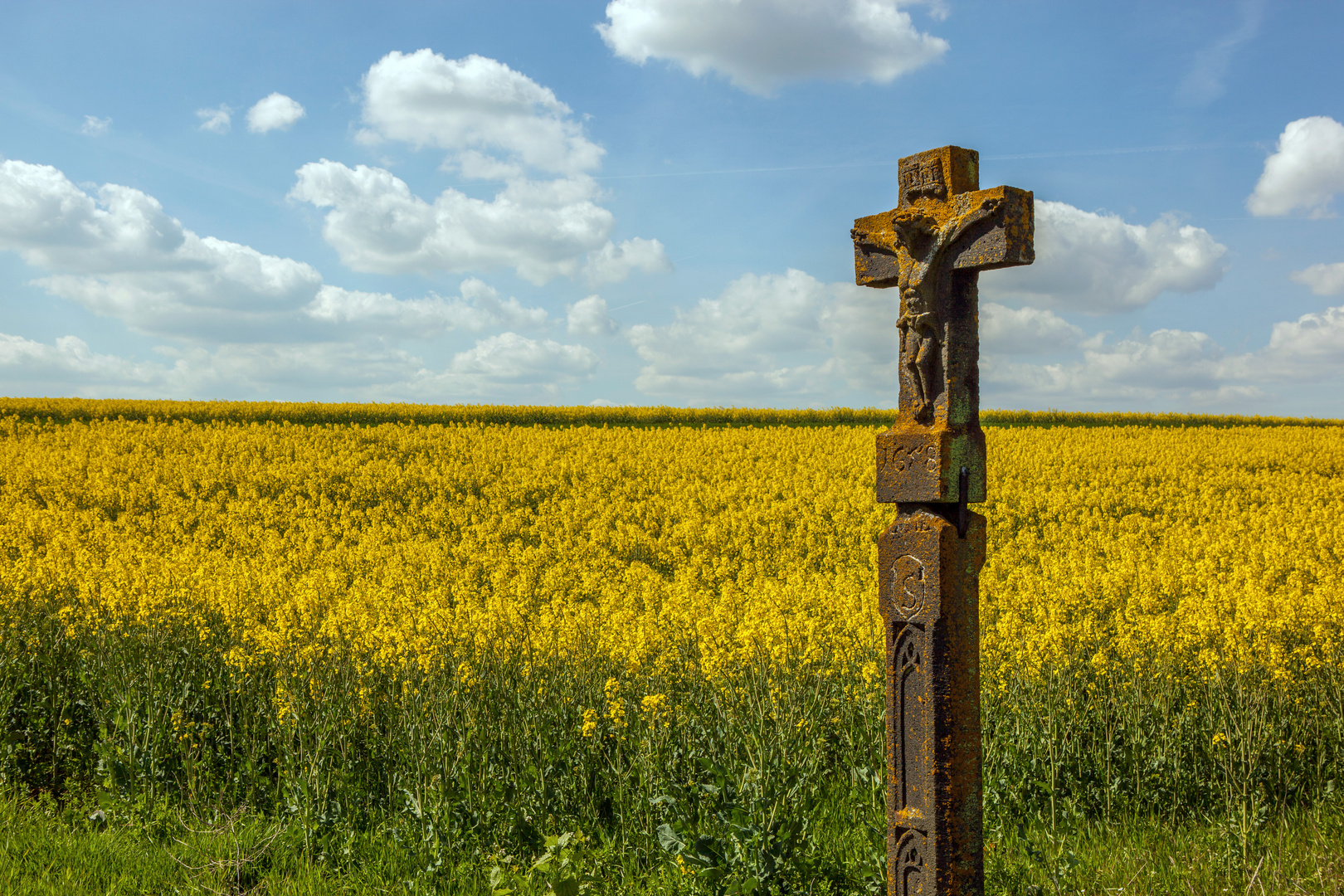 Wegekreuz am Rapsfeld