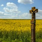 Wegekreuz am Rapsfeld