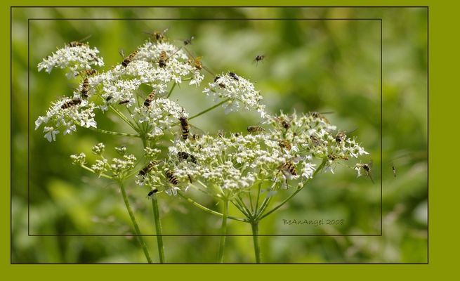 wegen Überfüllung heute leider geschlossen!