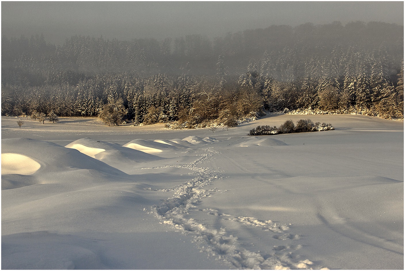 _Wegen Umzug, Schnee zu verschenken_