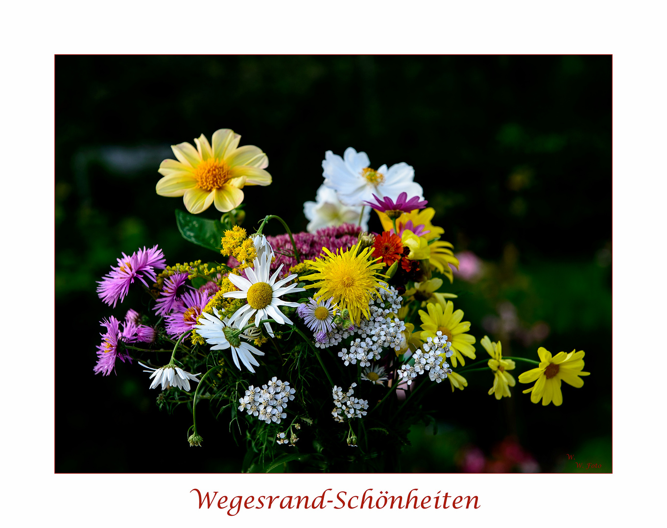 Wegesrand-Schönheiten