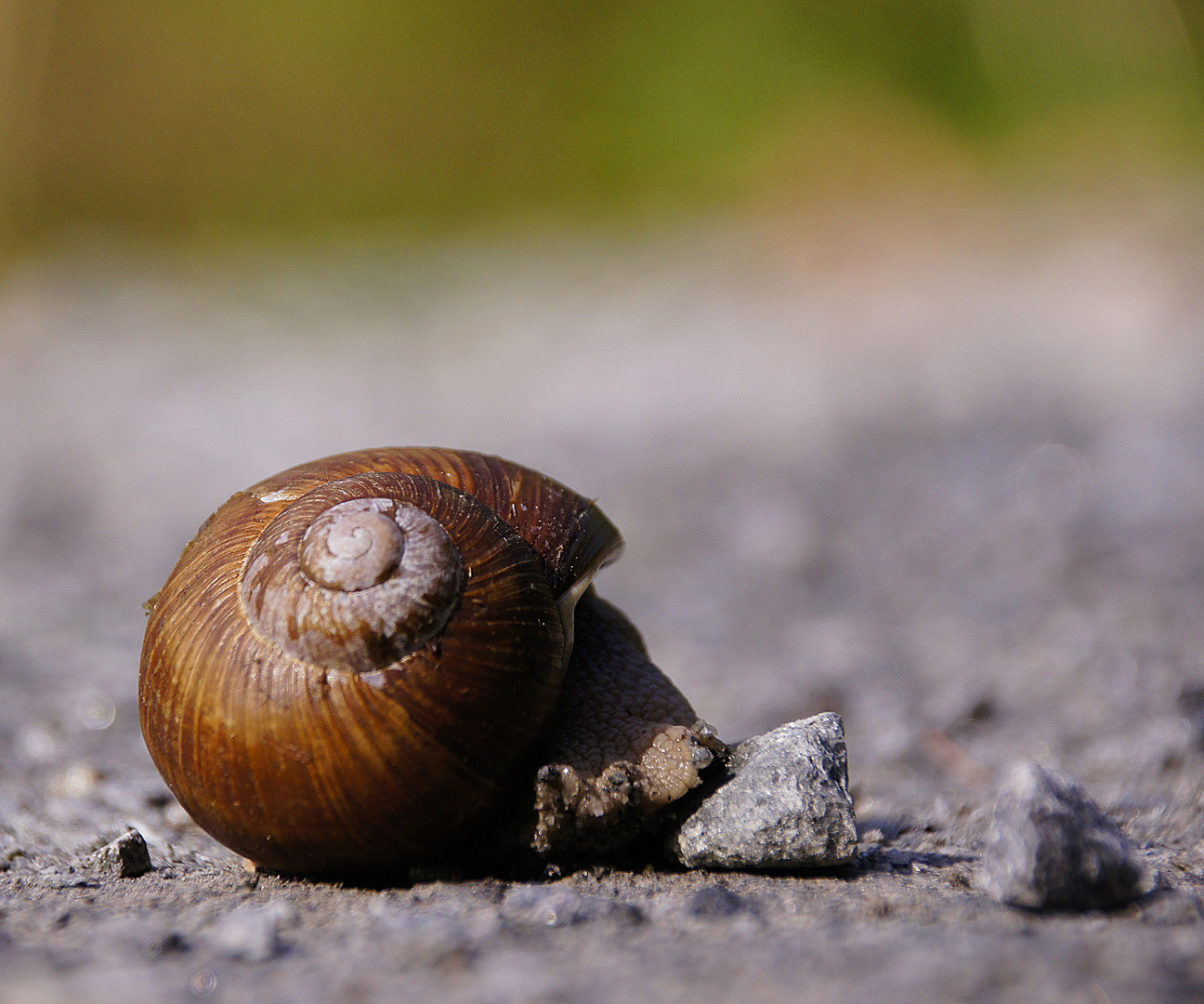 Weggefährte vor Hindernissen