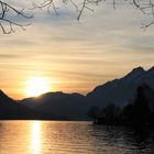 Weggis am Vierwaldstättersee