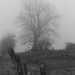 Wegkreuz am Schneeberg