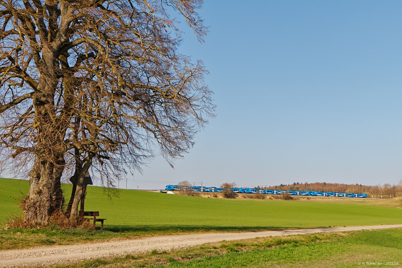 Wegkreuz an einer alten Linde