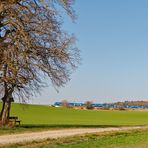 Wegkreuz an einer alten Linde