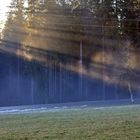 Wegkreuz im Lichtstrahl