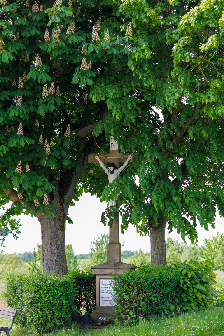 Wegkreuz unter Rosskastanien