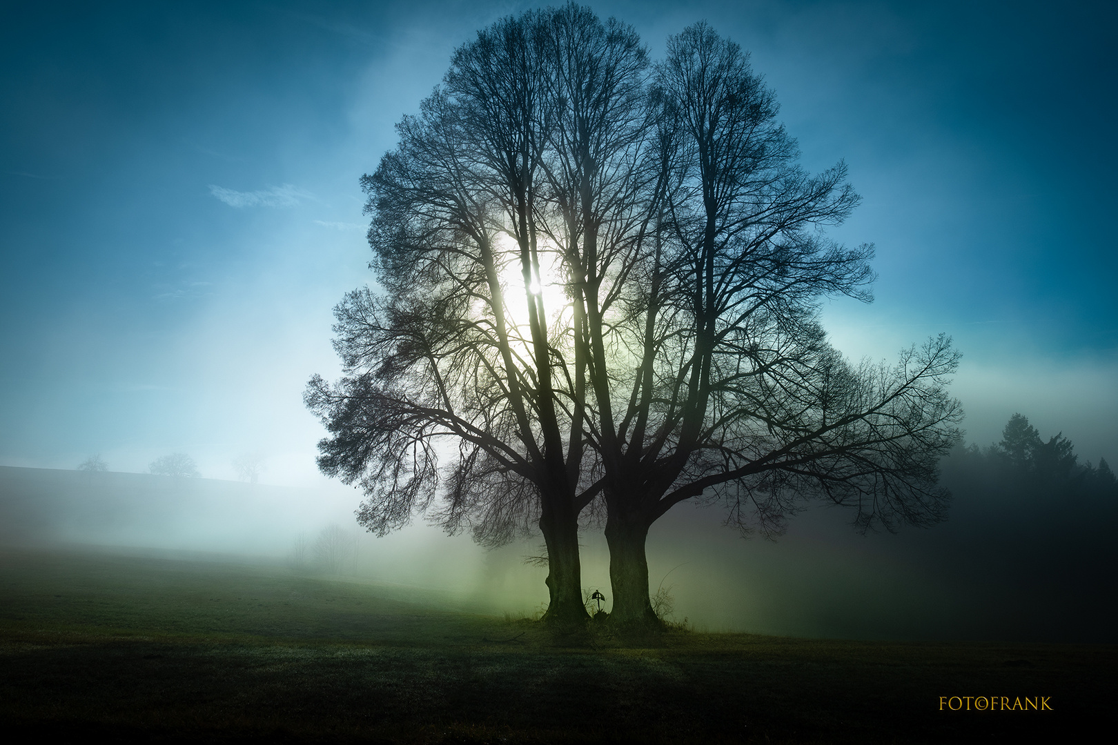 Wegkreuz-zwischen-mächtigen-Bäumen-im-Herbstnebel-web