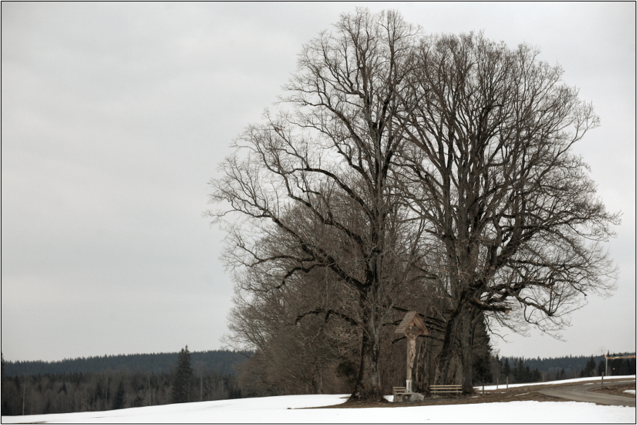 Wegkreuze Oberbayerns 7