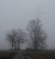 "Wegkreuzung bei Nebel - Hochformat"