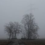 "Wegkreuzung bei Nebel - Hochformat"