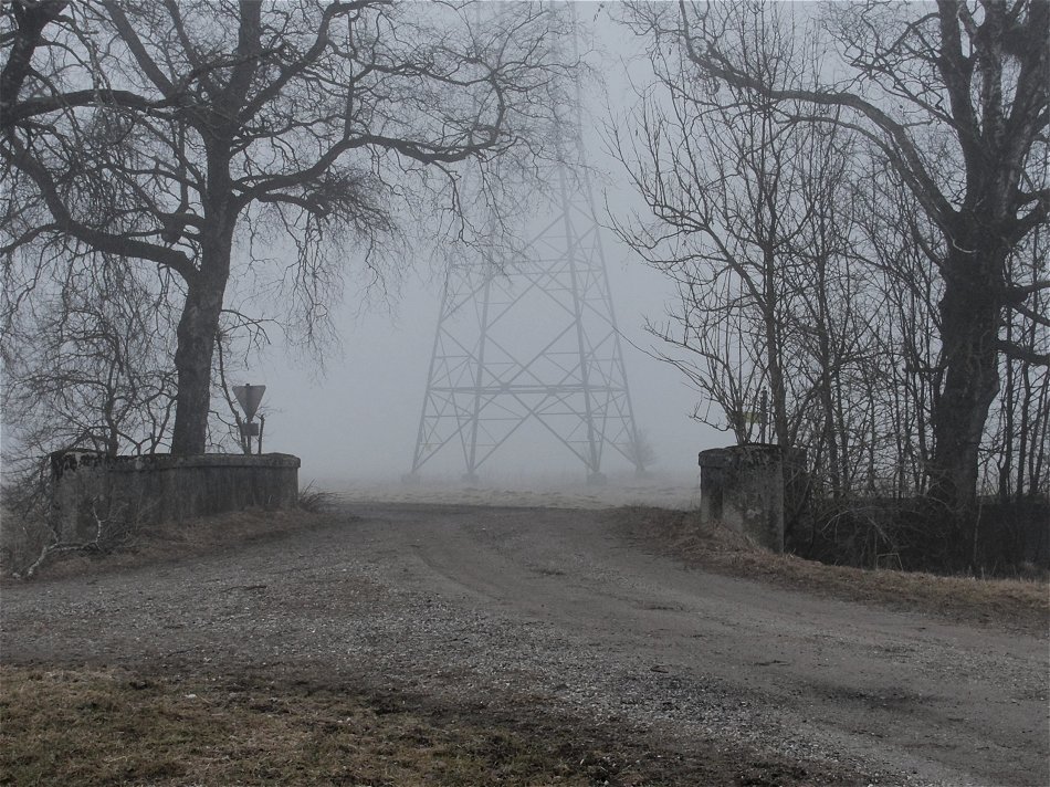 "Wegkreuzung bei Nebel ohne Plastikabfall"