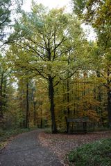 Wegkreuzung mit Ruheplatz