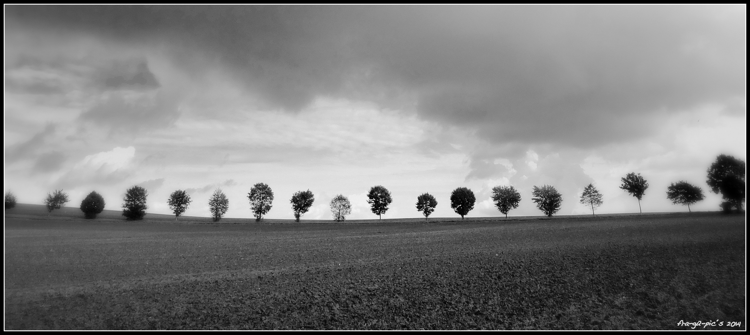 .... wegmarkierung im weiten feld ....