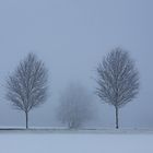 Wegmarkierungen im Nebel