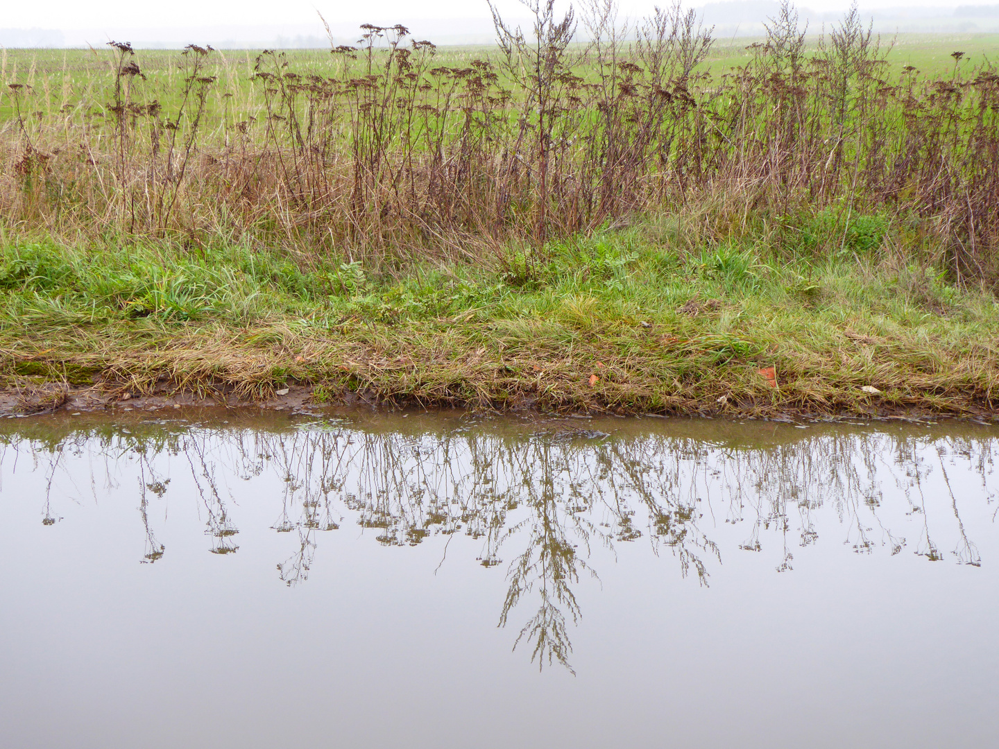Wegrand in der Pfütze Foto & Bild landschaft, bach, fluss & see, see