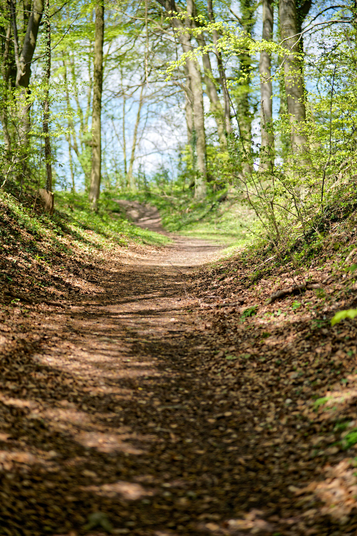 Wegverlauf