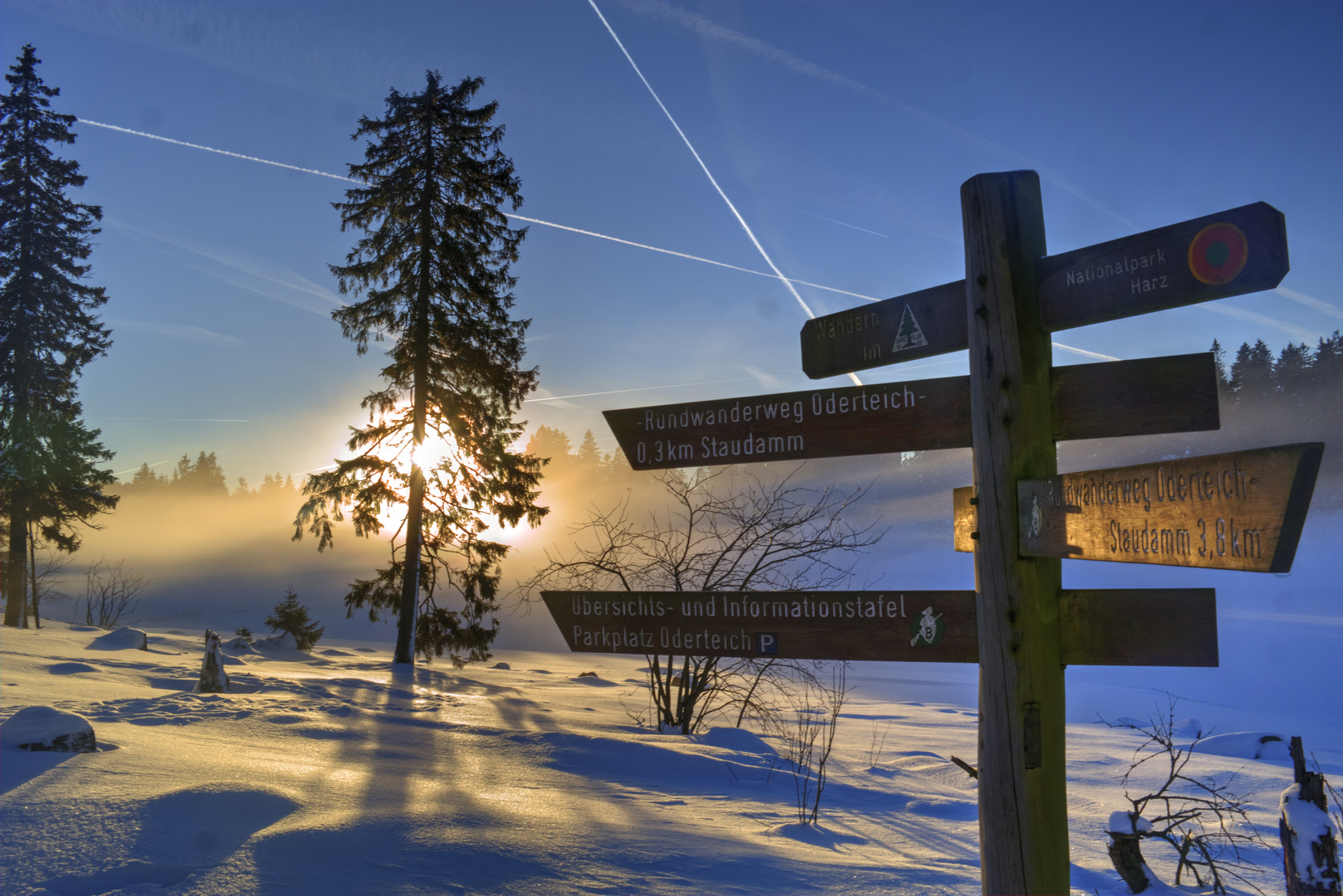 Wegweiser am Oderteich im Harz