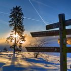 Wegweiser am Oderteich im Harz