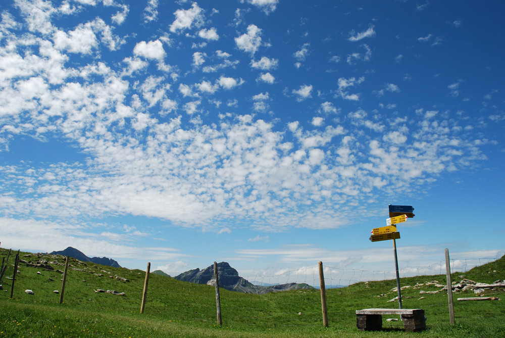 Wegweiser auf der Chringen