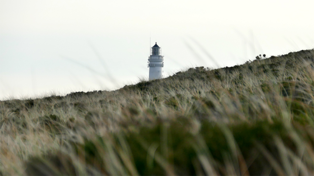 Wegweiser auf Sylt