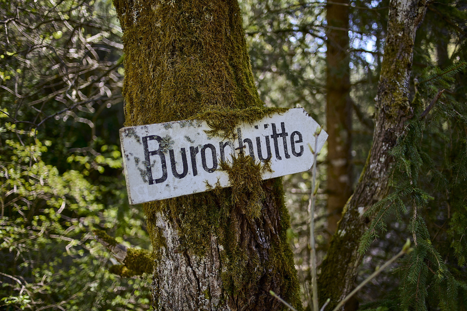 Wegweiser Buronhütte