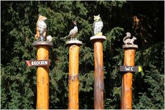 Wegweiser im Harz