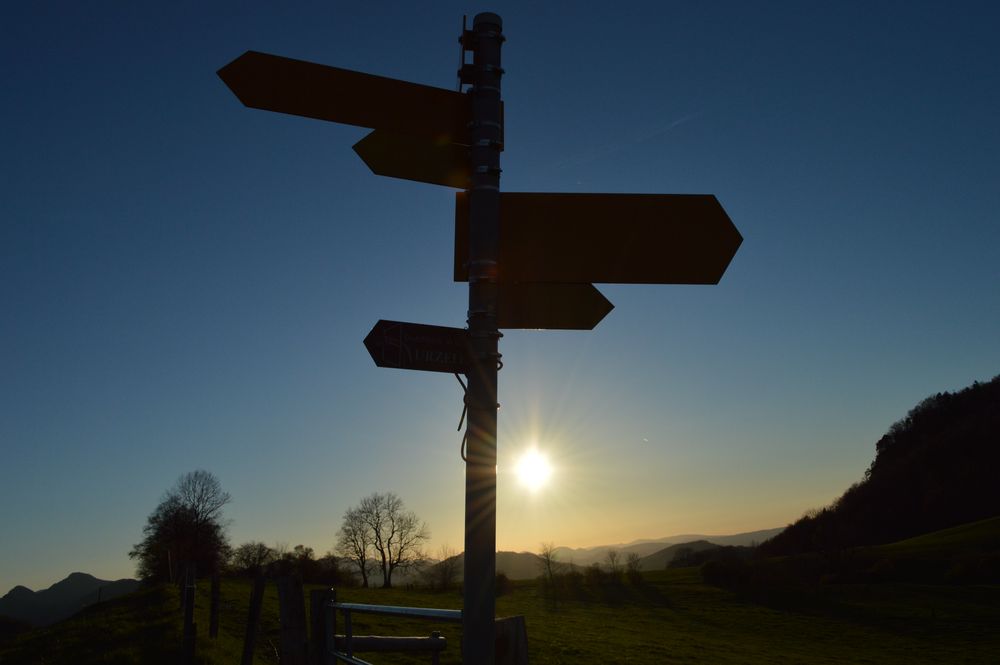 Wegweiser in der Abendsonne