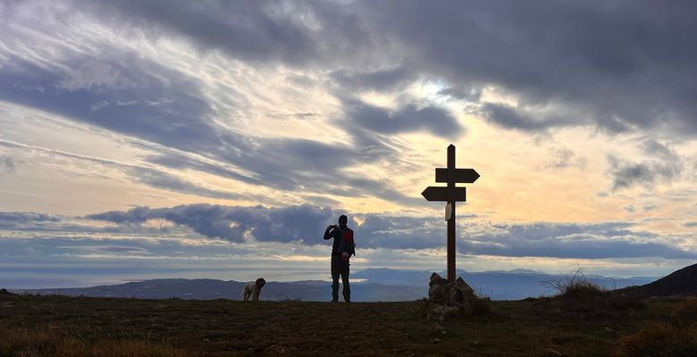 Wegweiser zum Jahresbeginn
