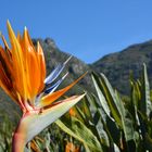 Wegweiser zum Tafelberg