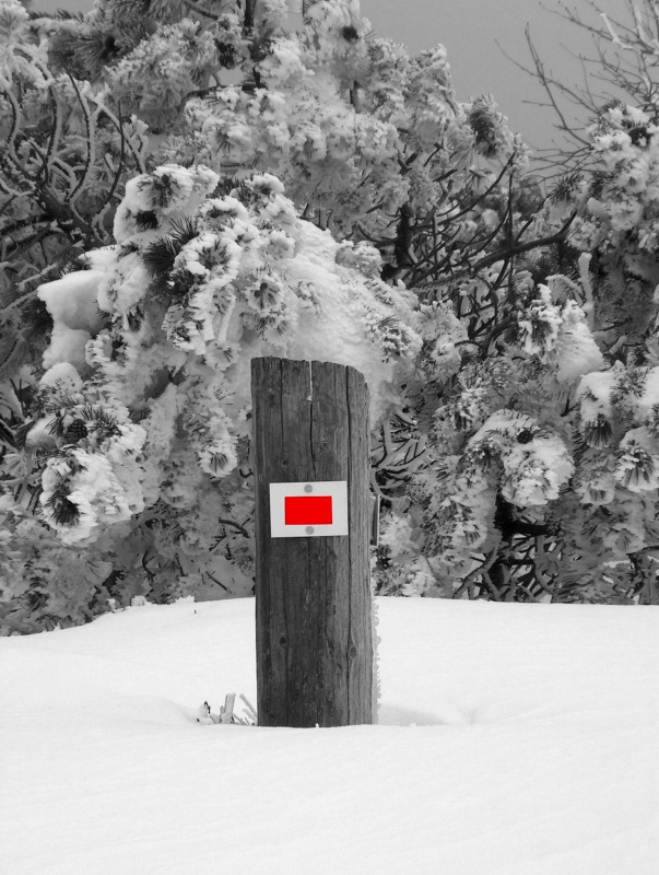 Wegzeichen im Schnee