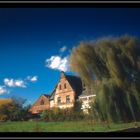 - wehender wind im herbstsonnenschein II -