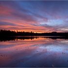 Wehlachweiher bei Haßloch (Pfalz) 3