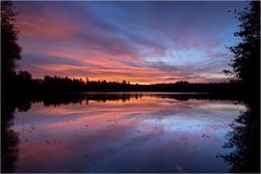 Wehlachweiher bei Haßloch (Pfalz) 3