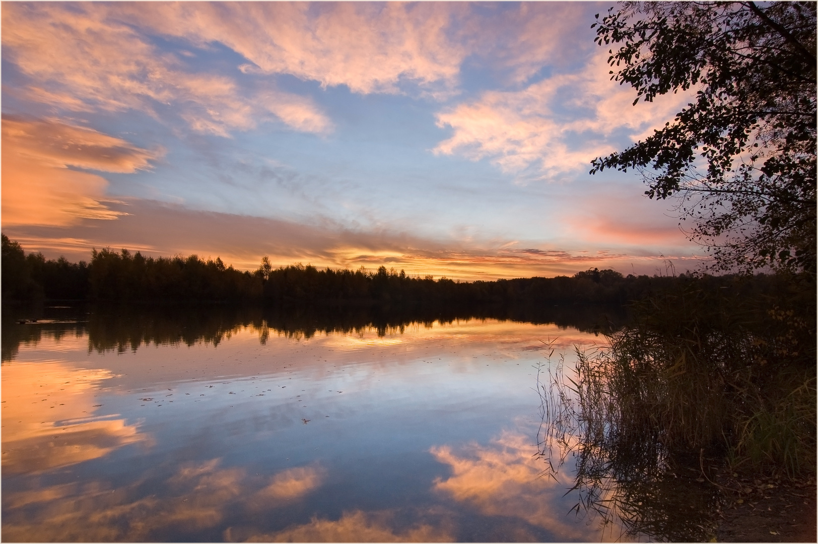 Wehlachweiher bei Haßloch (Pfalz) 4