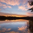 Wehlachweiher bei Haßloch (Pfalz) 4